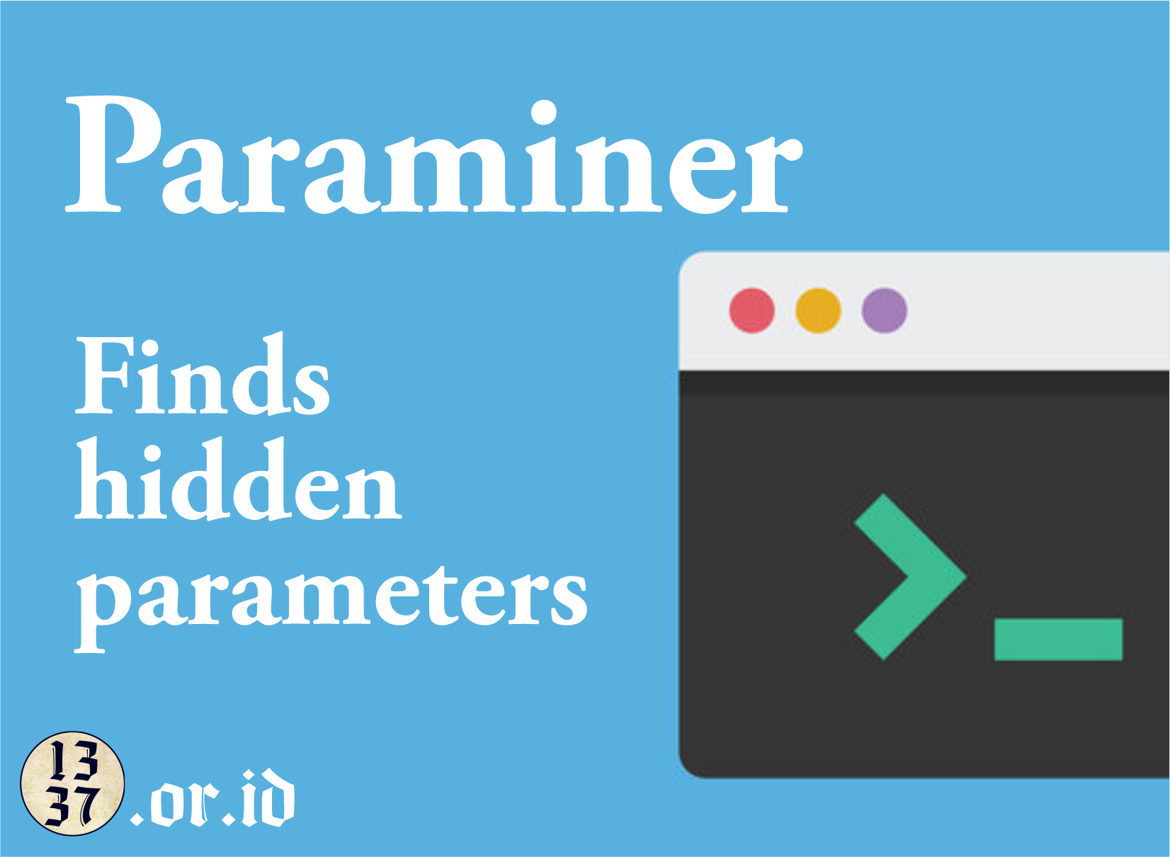 Paraminer: Finds hidden parameters.